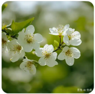 联系方式