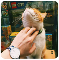 发梦