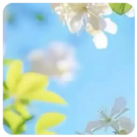 发梦